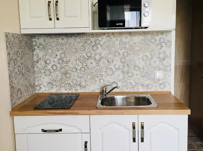 Apartment Sunny Obsor